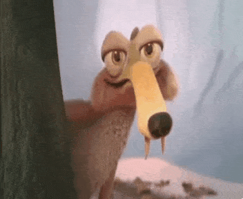 IMG_5152.gif