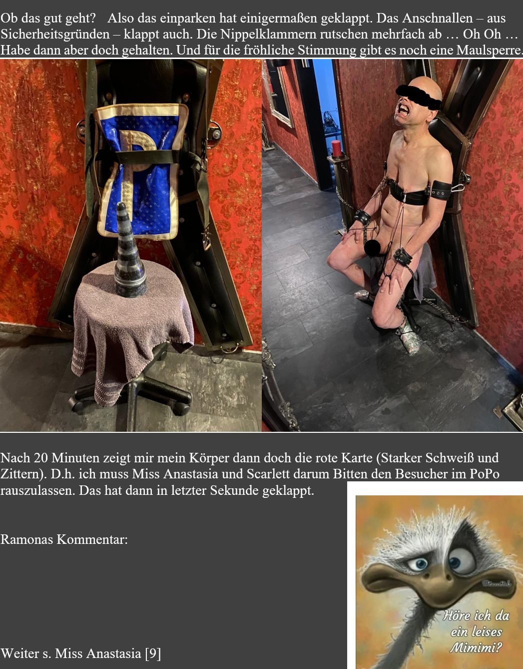 Ramona-7.jpg
